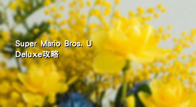 Super Mario Bros. U Deluxe攻略